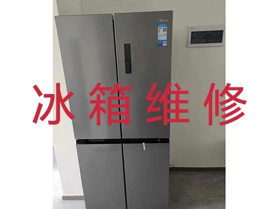 北京冰箱维修-冰柜维修